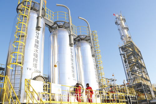 技術(shù)推廣 高質(zhì)量采氣廠建設(shè)的關(guān)鍵支撐